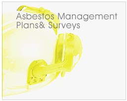 Asbestos Management Plans & Surveys